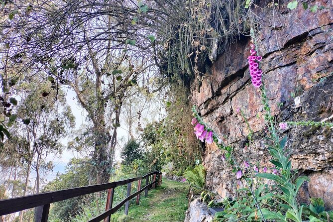 Birdwatching at Monserrate Bogotá 4H - Why Monserrate Is Such a Smart Choice for Birdwatching in Bogotá