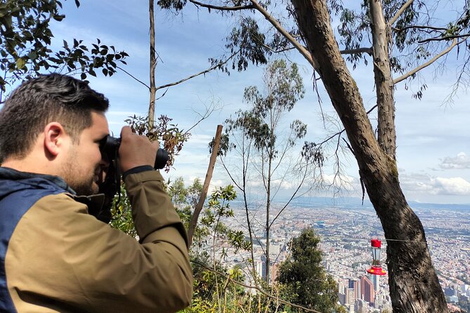Birdwatching at Monserrate Bogotá 4H - Who This Tour Fits Best, and Who Might Feel It Is Not Enough