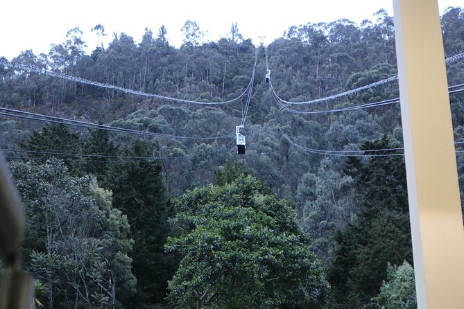 Birdwatching at Monserrate Bogotá 4H - The Guides: What Makes the Experience Feel Personal