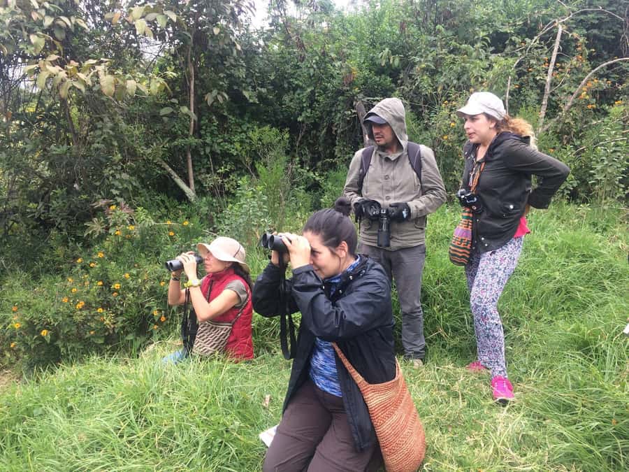 Birdwatching Day Tour at Chicaque Natural Park - Inside Chicaque: what the guided visit feels like