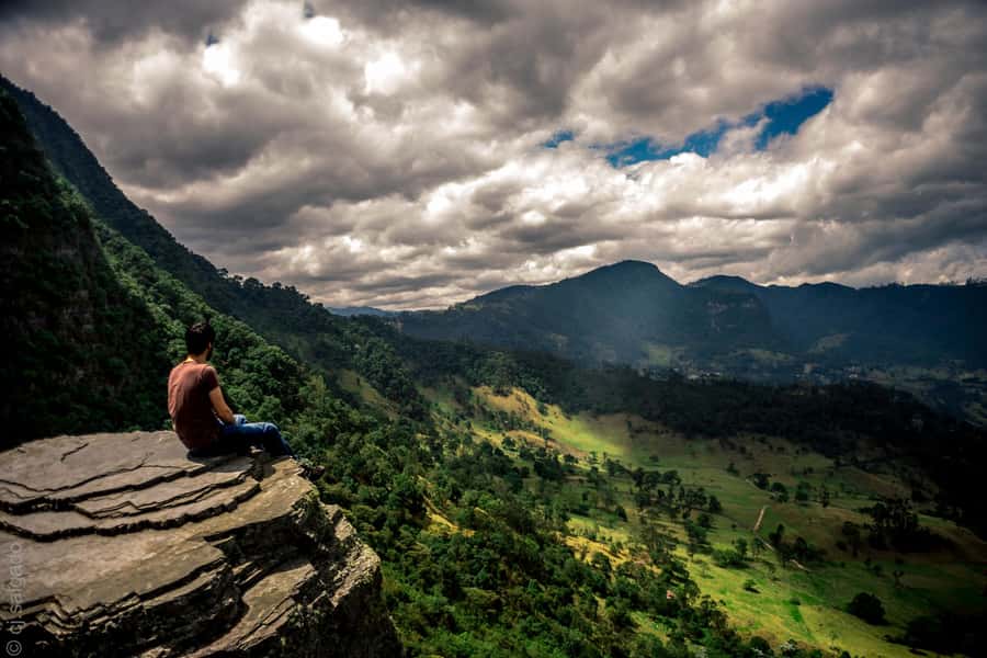 Birdwatching Day Tour at Chicaque Natural Park - The high-elevation páramo hike, and why it is part of the birding story