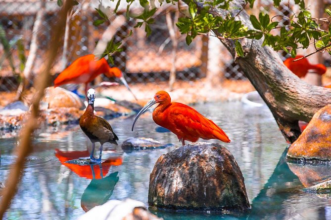 Birdwatching National Aviary Cartagena de Indias - Price and value: is $140 per person worth it?