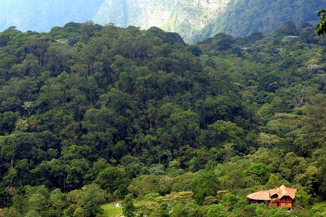 Birdwatching Private Tour at Chicaque Natural Park with Lunch - Key takeaways before you book
