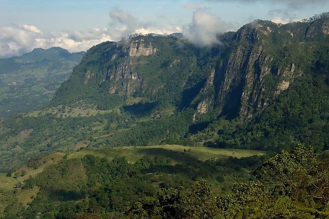 Birdwatching Private Tour at Chicaque Natural Park with Lunch - Your guide in English: what you are paying for