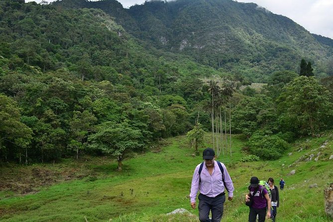 Birdwatching Private Tour at Chicaque Natural Park with Lunch - Spotting birds: how Chicaque’s variety changes your odds
