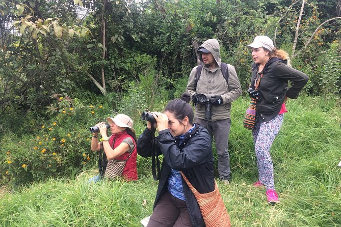 Birdwatching Private Tour at Chicaque Natural Park with Lunch - Price and value: is $94 a fair deal?