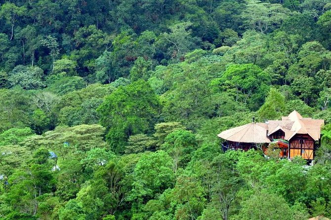 Birdwatching Private Tour at Chicaque Natural Park with Lunch - Who this tour fits best (and who should reconsider)