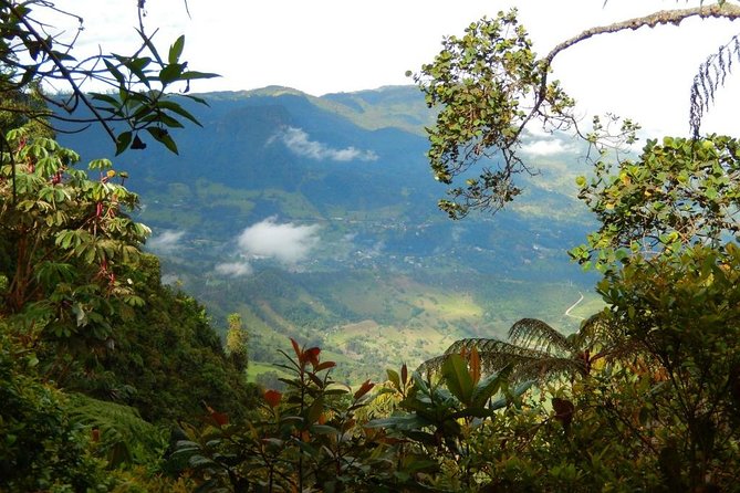 Birdwatching Private Tour at Chicaque Natural Park with Lunch - The walk itself: downhill, then the uphill truth