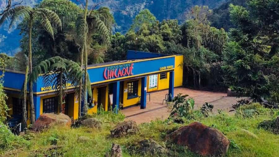 Bogota: Explore the forest and bird watching at Chicaque Natural Park - Key highlights to know before you go