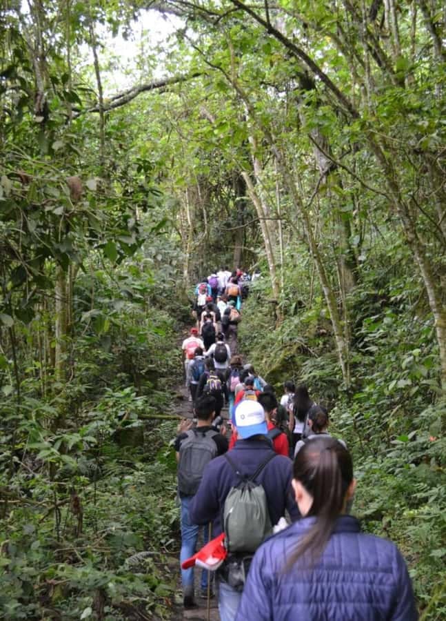 Bogota: Explore the forest and bird watching at Chicaque Natural Park - Chicaque cloud forest, about 30 km from Bogotá