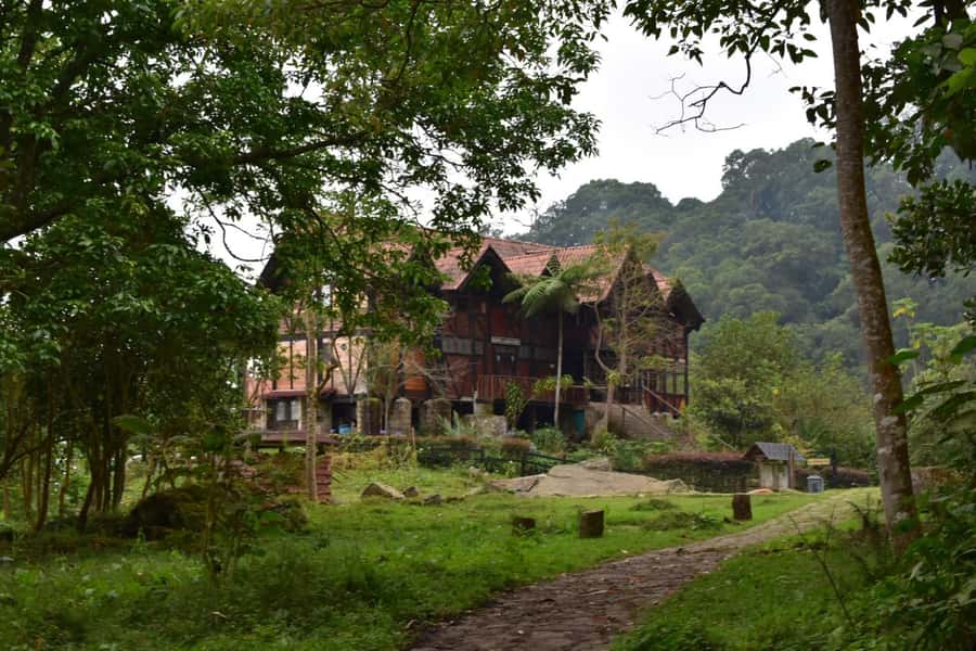 Bogota: Explore the forest and bird watching at Chicaque Natural Park - The guided trail time: morning walking with options