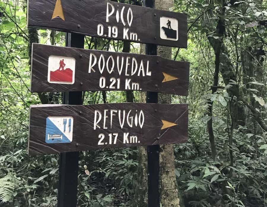 Bogota: Explore the forest and bird watching at Chicaque Natural Park - Spotting orchids, birds, and small mammals with Edwin