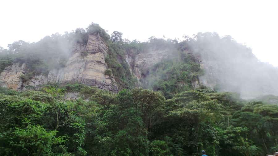 Bogota: Explore the forest and bird watching at Chicaque Natural Park - The Chicaque Waterfall hike: the sound you will remember