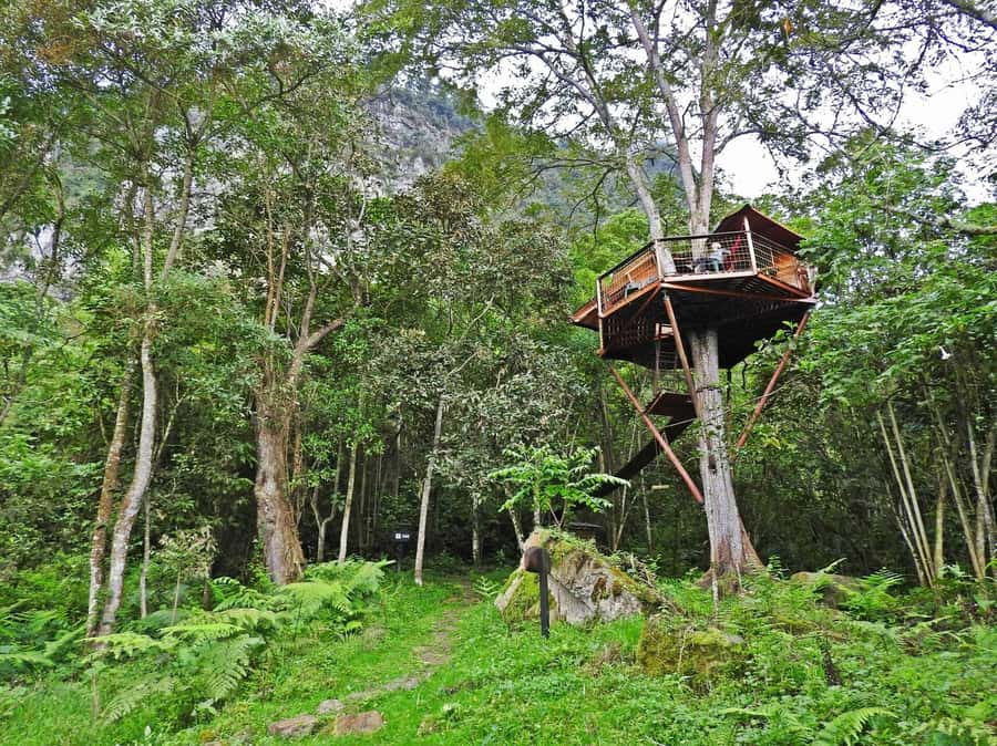 Bogota: Explore the forest and bird watching at Chicaque Natural Park - Price and value: what $127 covers and why it matters