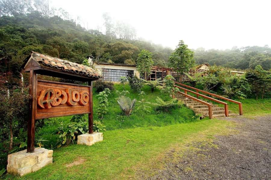 Bogota: Explore the forest and bird watching at Chicaque Natural Park - Who this Chicaque experience fits best