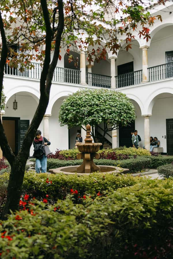 Bogotá: Express Tour with Private Guide and Transportation - La Candelaria on foot: colonial streets, street art, and uphill reality