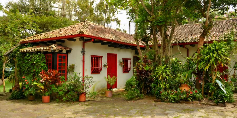 Bogotá: Guided Coffee Tour with Lunch, and Pickup & Drop-Off - A day trip that turns coffee into a full lesson