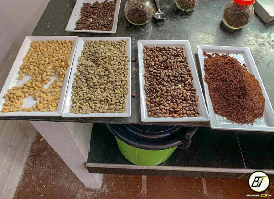 Bogotá: Guided Coffee Tour with Lunch, and Pickup & Drop-Off - What you’ll learn on the coffee farm, from beans to problems
