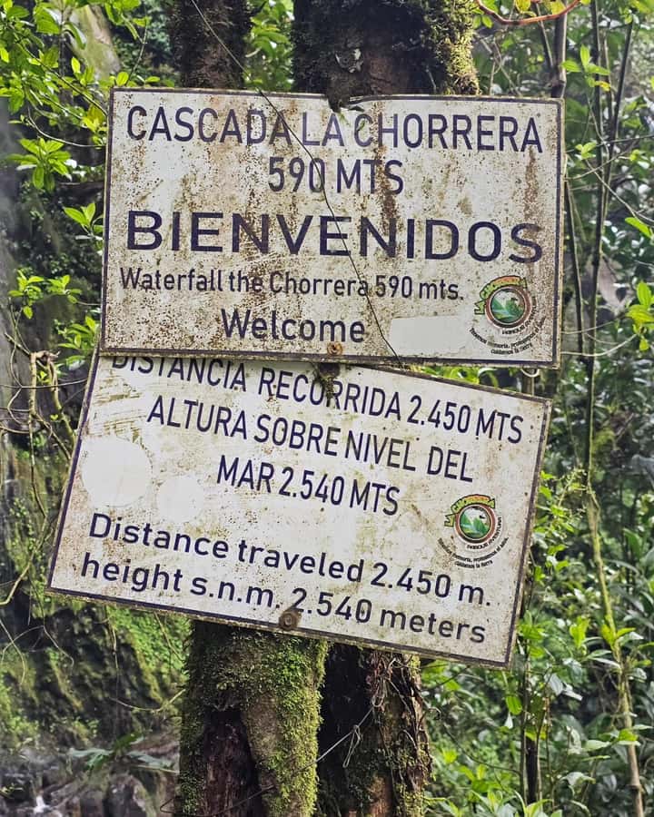 Bogota: Hike to La Chorrera Waterfall, El Chiflón and Guadalupe Hill - La Chorrera waterfall: where the hike becomes the main event