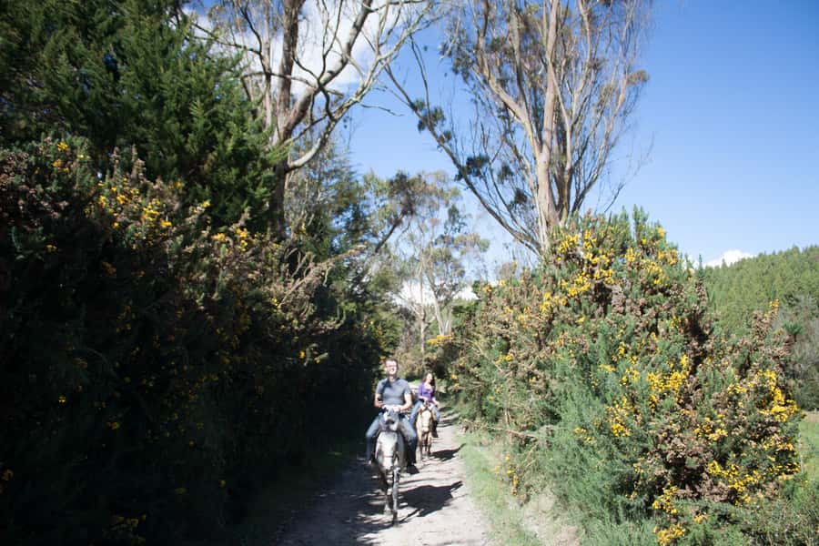 Bogota: Horseback Riding Tour - Getting out of Bogotá fast, and into real countryside