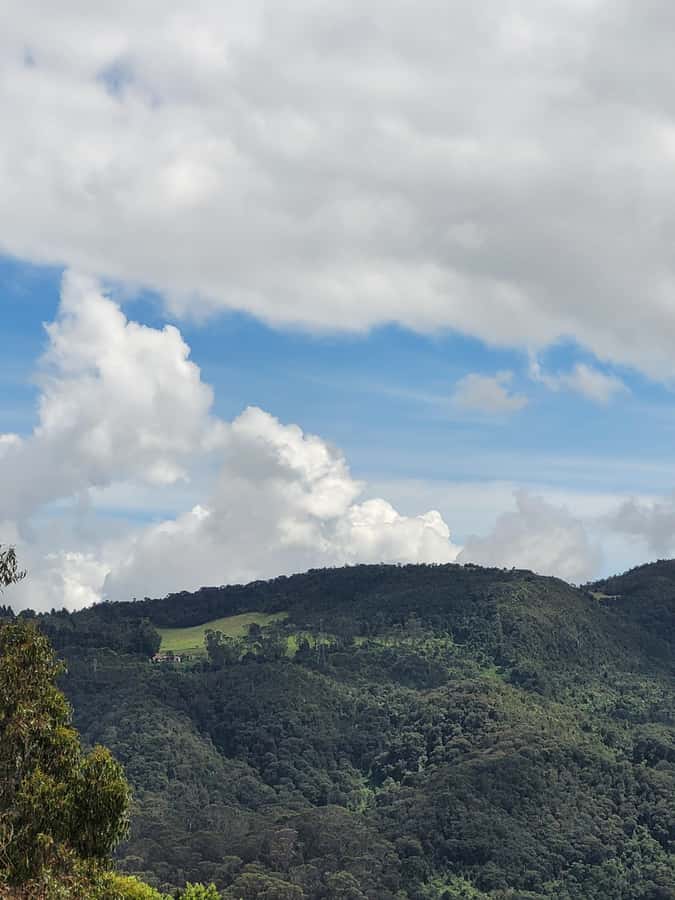 Bogota: Private Tour to Monserrate and Guadalupe - Who this private tour is best for