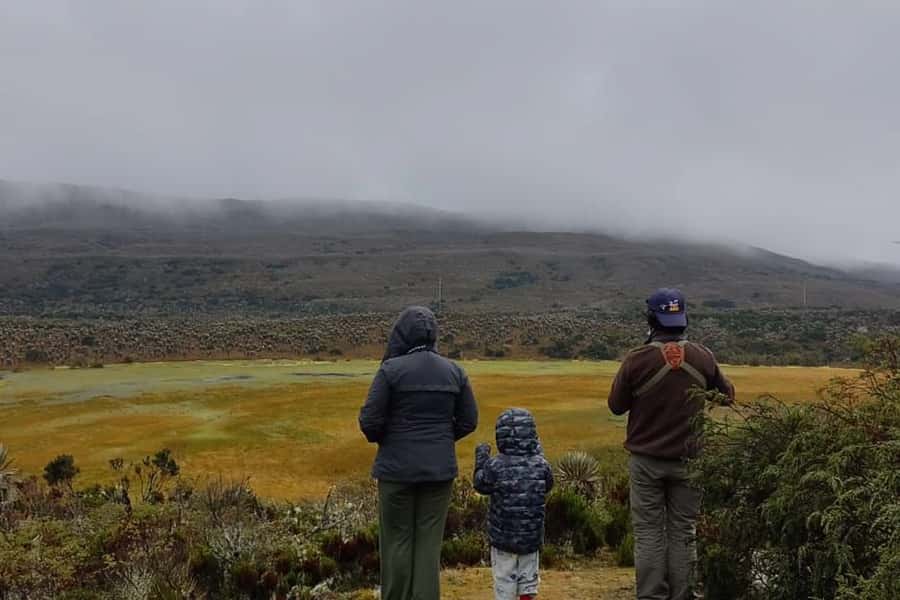 Bogotá: Sumapaz National Park Hike Tour - Key things to know before you go