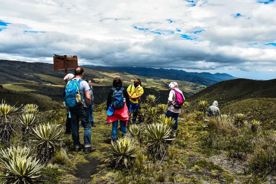 Bogotá: Sumapaz National Park Hike Tour - Entering Sumapaz: the 178,000-hectare páramo and the first wow moments