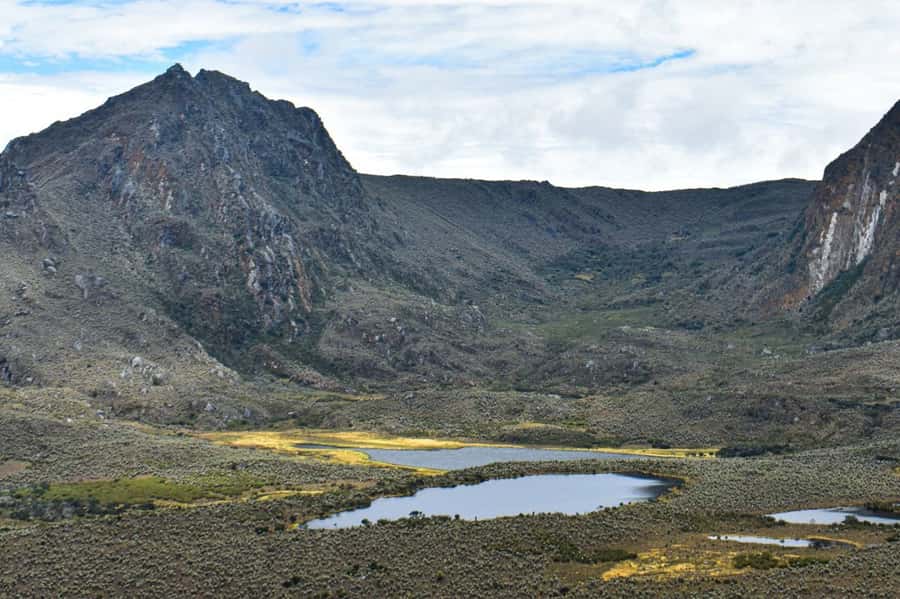 Bogotá: Sumapaz National Park Hike Tour - Preservation and the real-world stakes for páramos