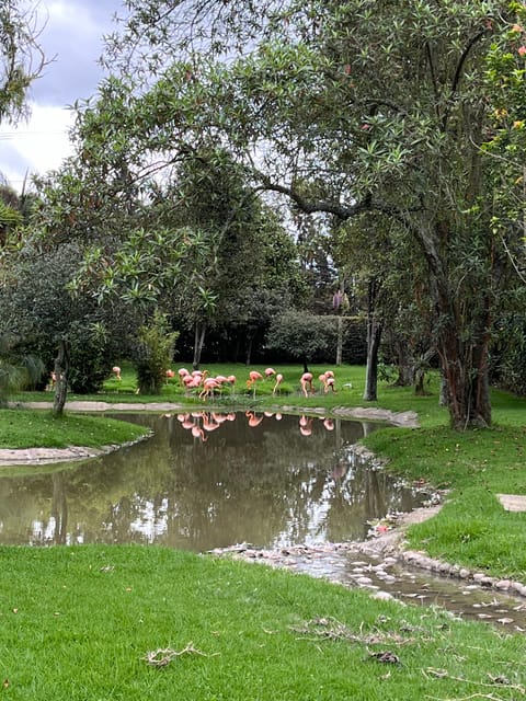 BOGOTA: Tour of Jaime Duque Park, Zoo, and Aerospace Museum - Aerospace Museum: aircraft and space history, no heavy prep needed