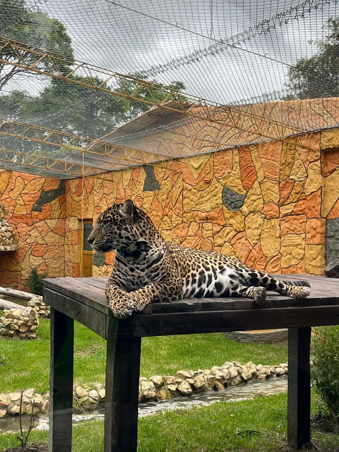 BOGOTA: Tour of Jaime Duque Park, Zoo, and Aerospace Museum - Price and value: what $117 gets you for a full 6-hour day