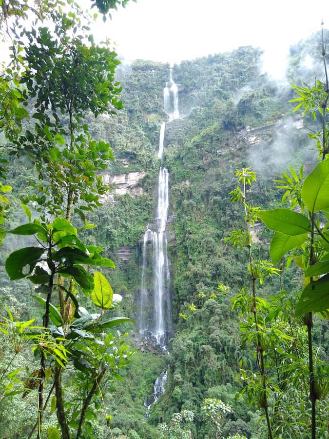 Bogotá: Visit Colombia's Highest Waterfalls & Guadalupe Hill - La Chorrera waterfall at 590 meters: the main event