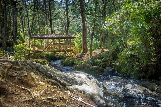 Botanical Garden and Arvi Park Medellín City Tour - Key things that make this tour work