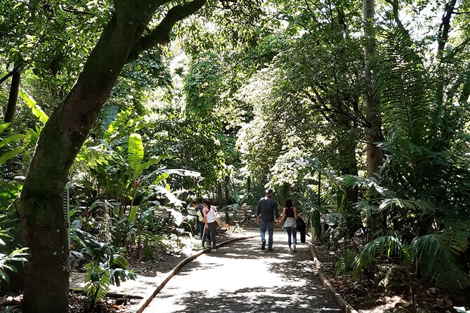 Botanical Garden and Arvi Park Medellín City Tour - Logistics that make the day feel smoother