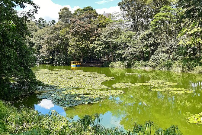 Botanical Garden and Arvi Park Medellín City Tour - Who should book this tour, and who should consider another option