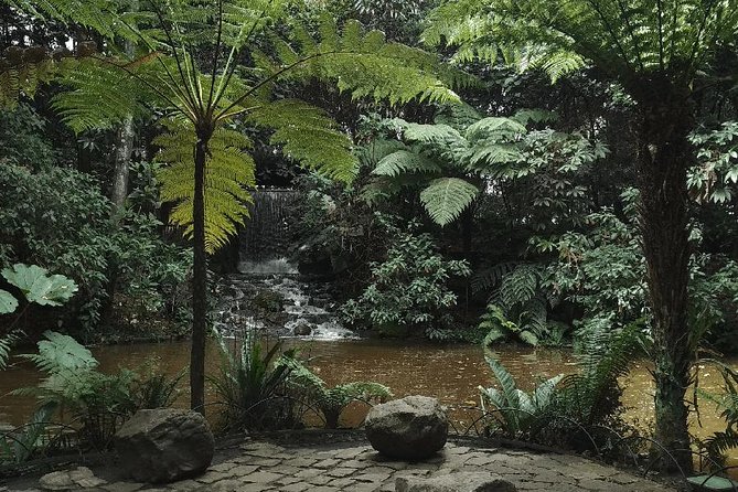 Botanical Garden Bogotá Private Tour (4 Hrs.) - What makes it more than a stroll