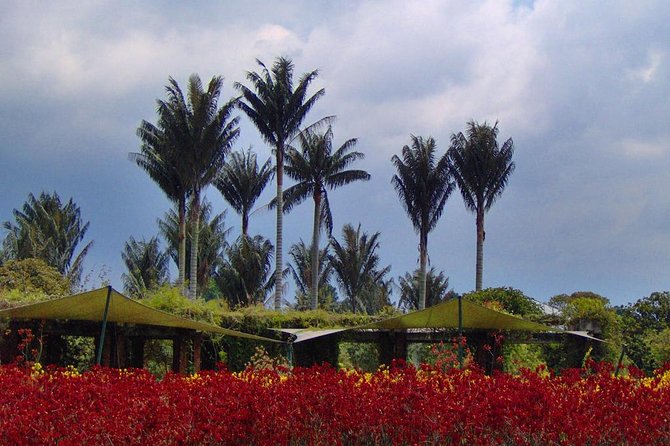 Botanical Garden Bogotá Private Tour (4 Hrs.) - The 4-hour plan: how the timing usually works in practice