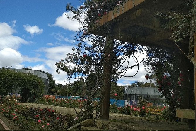 Botanical Garden Bogotá Private Tour (4 Hrs.) - Quick hits: what you will notice first