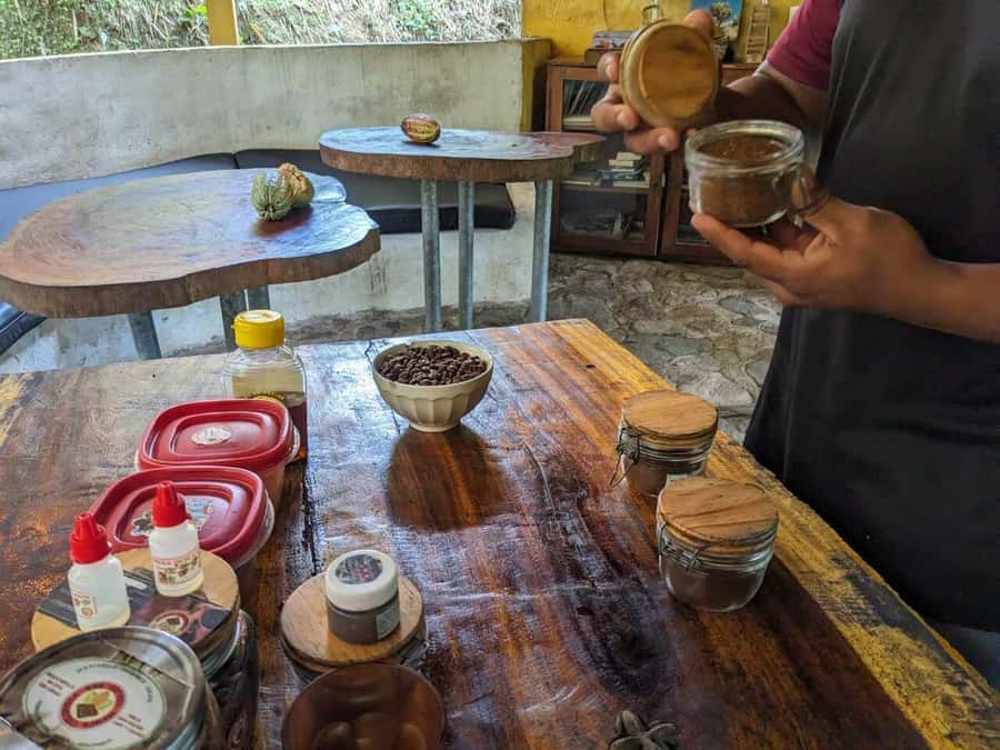 Cacao and Coffee Tour - Organic Coffee Tasting, Plus Real Differences You Can Notice