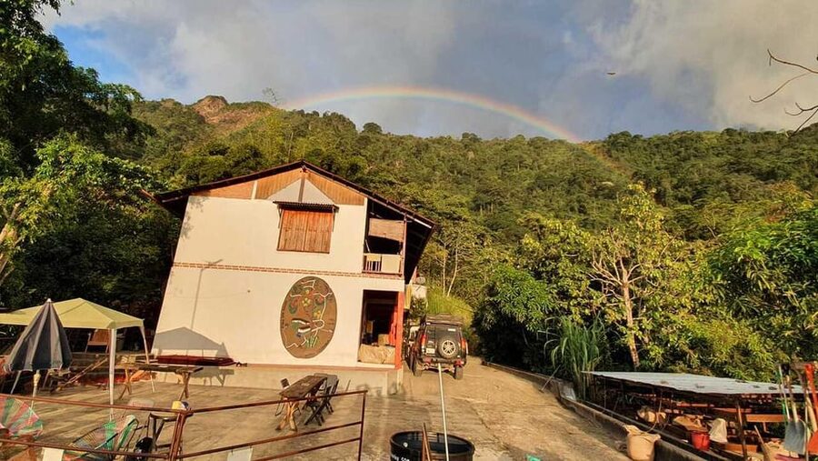 Cacao and Coffee Tour - Timing, Group Size, and What to Bring