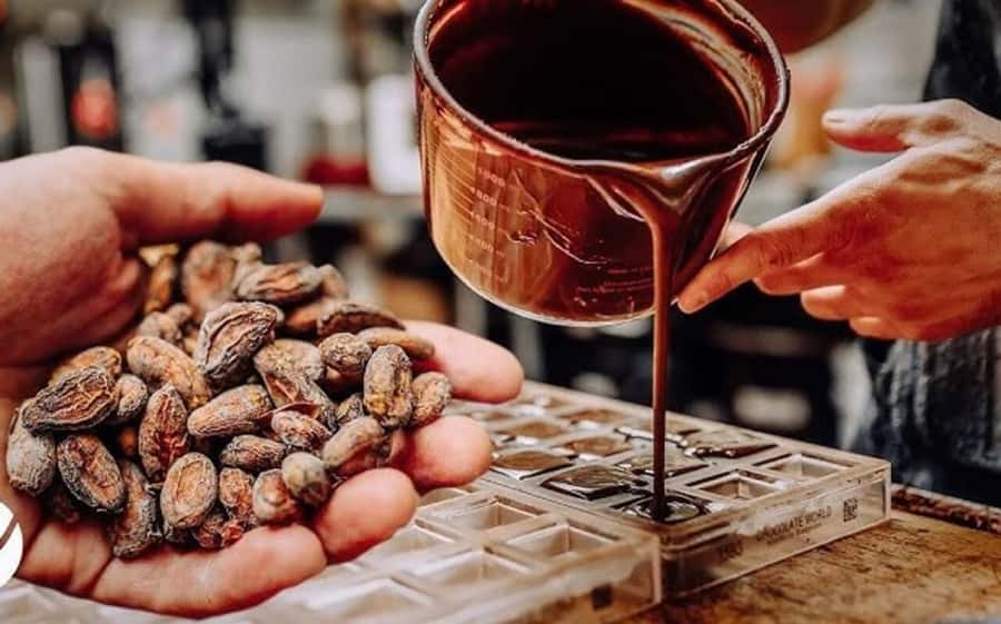 Cacao Experience Tour - Key Highlights You Can Count On