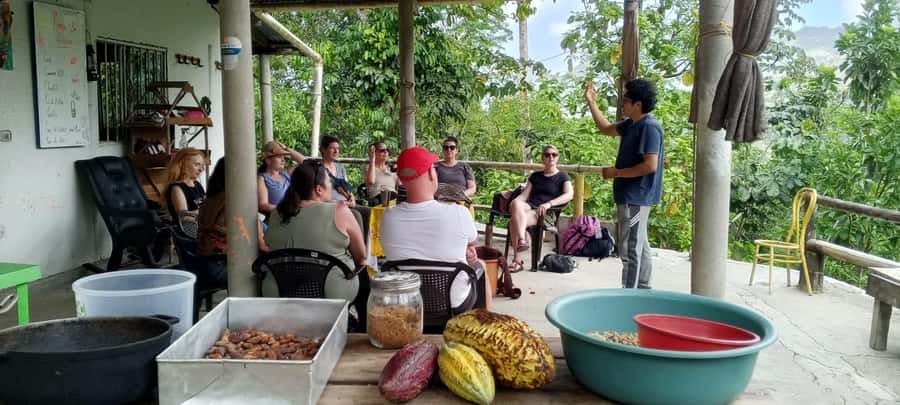 Cacao Experience Tour - Fitness, Footwear, and Jungle Safety You Should Take Seriously