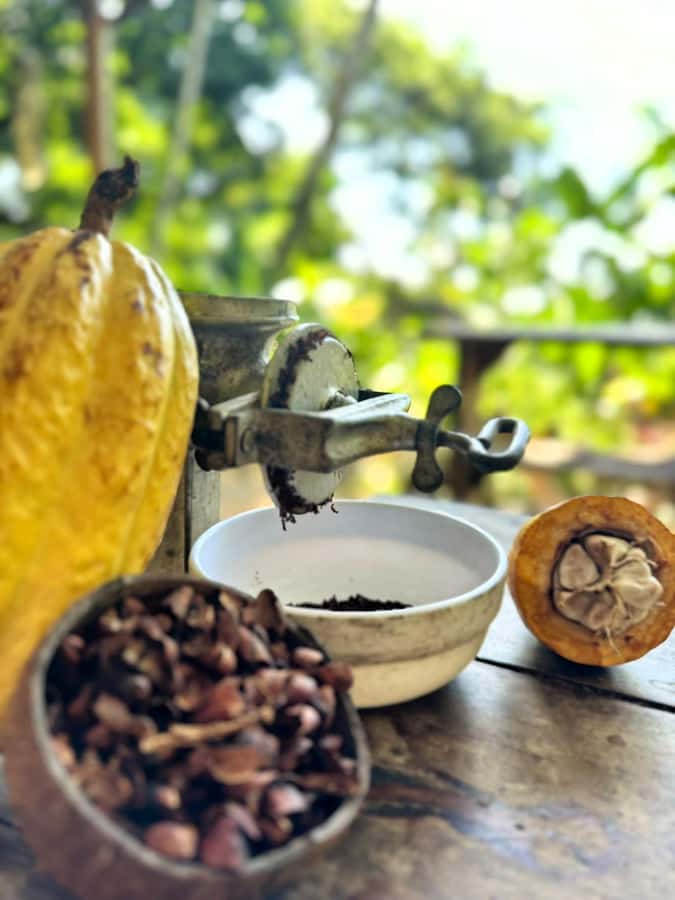 Cacao Experience Tour - Entering Tayrona Indigenous Territory on Foot