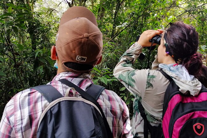 Cali: Bird Watching | Birding in the cloud forest at kilometer 18 - Your guide, binoculars, and the 10-minute binocular class