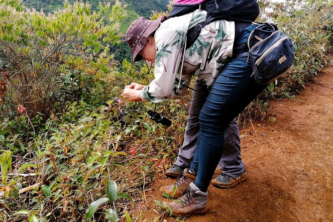 Cali: Bird Watching | Birding in the cloud forest at kilometer 18 - The drive to the highest point: views and a lesson in altitude