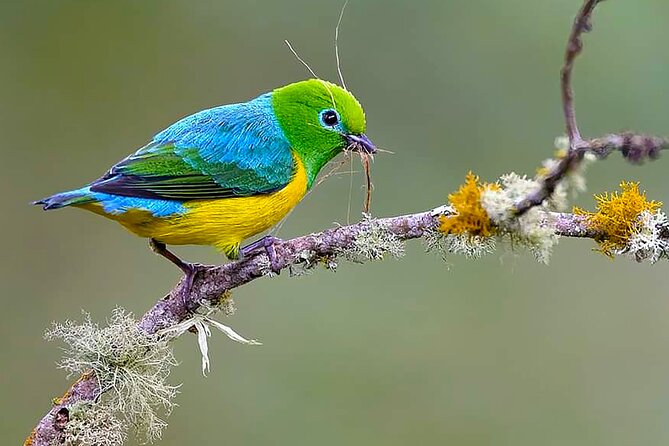 Cali: Birding | Birds of the Cali River - Bird Watching - Stop 1, Cali River: What the Walk Is Really About