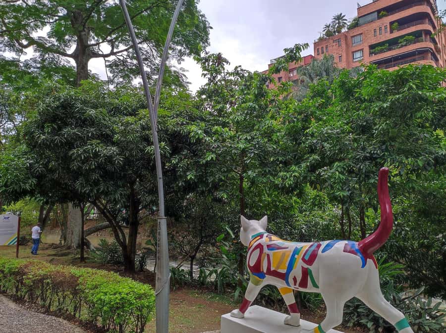 Cali: Cristo Rey, Tertulia Museum & Downtown Cali City Tour - Key points at a glance