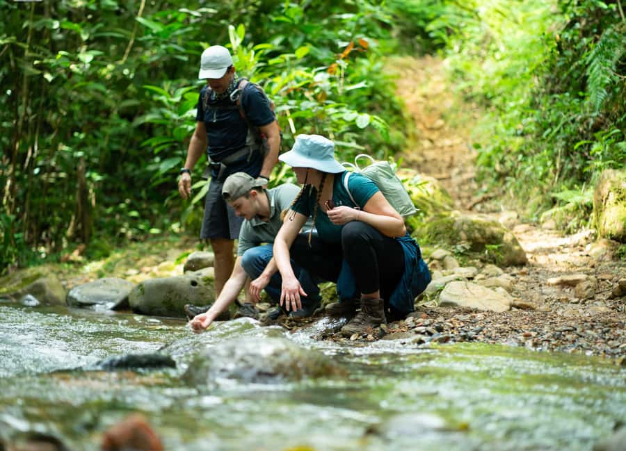 Cali: Hiking to the Pance waterfalls - Wildlife and birds: why the guide’s eye changes the whole hike