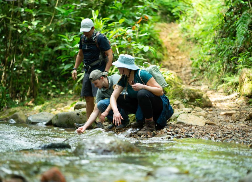Cali: Hiking to the Pance waterfalls - Price and value: what $119 buys you in real terms