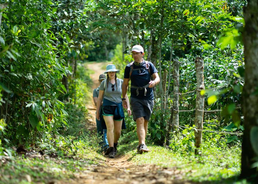 Cali: Hiking to the Pance waterfalls - Hitting the Farallones: the trail, the pace, and the real terrain