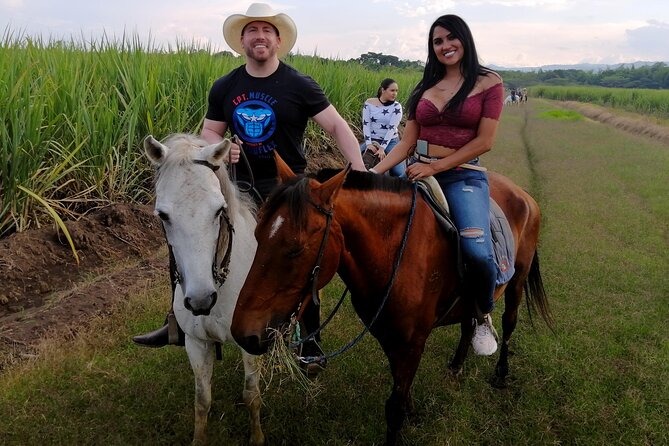 Cali: Horseback riding through beautiful landscapes and mountains - Key highlights at a glance